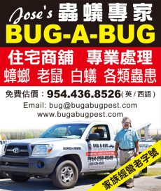 Bug-A-Bug