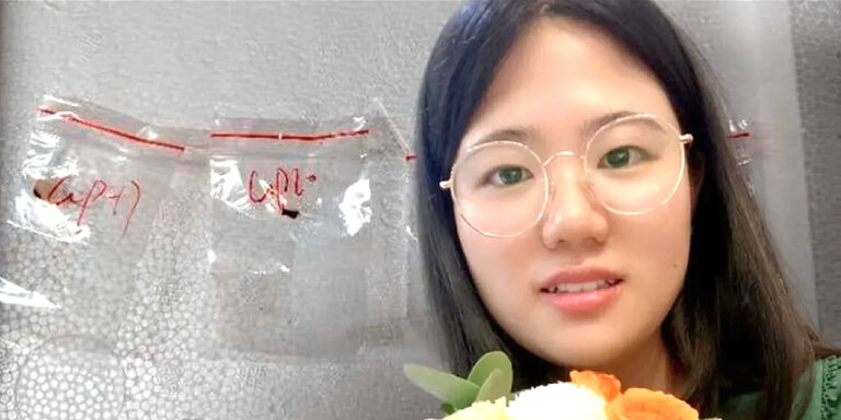 中國情侶攜帶危險真菌入境，殺傷力巨大可摧毀美國小麥、玉米